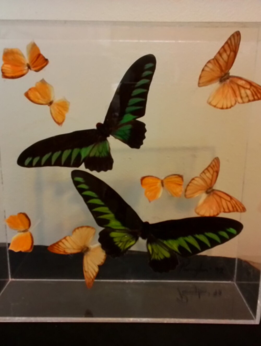 Framed Butterfly Art with Green and Orange Accents